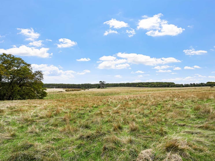 Click to view all images 4231 Dartmoor-Hamilton Road Grassdale VIC 3302 - Image 3
