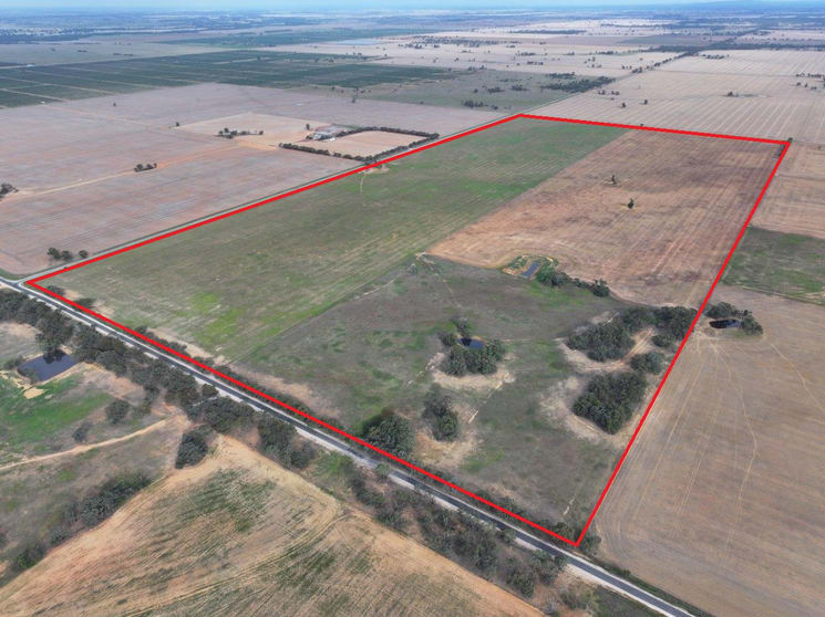 CA, 157 Borung Hurstwood Road Borung VIC 3518 - Image 2
