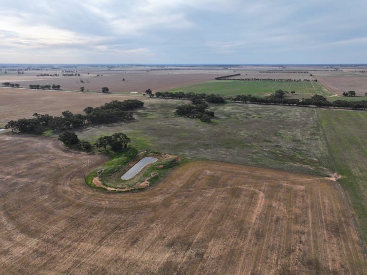 CA, 157 Borung Hurstwood Road Borung VIC 3518 - Image 3