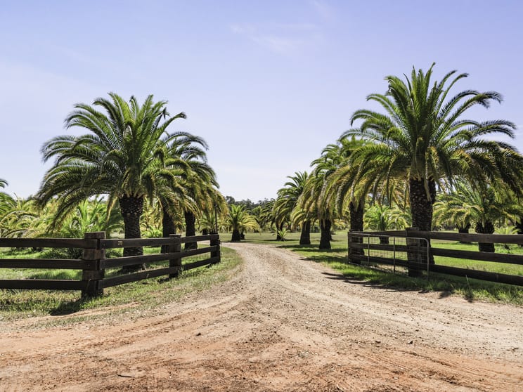 Click to view all images 370 Orara Road Lanitza NSW 2460 - Image 2