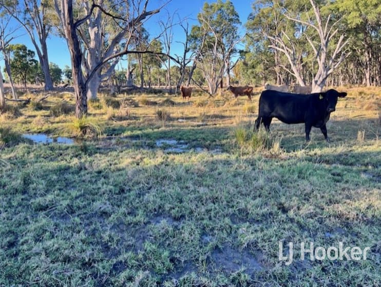 296 Limestone Road Inverell NSW 2360 - Image 1