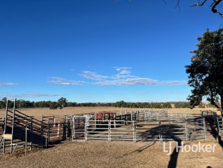 296 Limestone Road Inverell NSW 2360 - Image 2