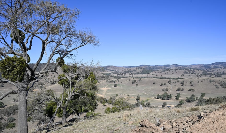 Gulgong NSW 2852 - Image 2