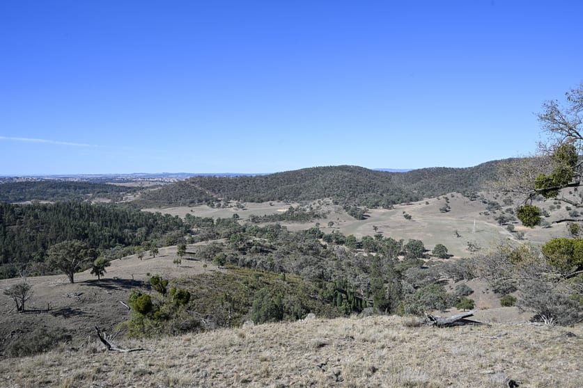 Gulgong NSW 2852 - Image 3