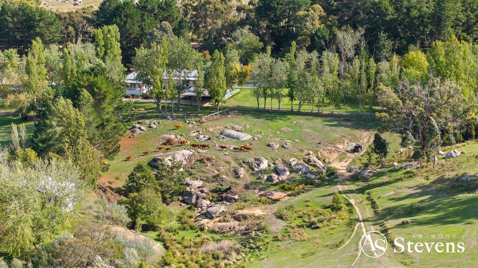 Click to view all images 805 Tooborac-Baynton Road Tooborac VIC 3522 - Image 3