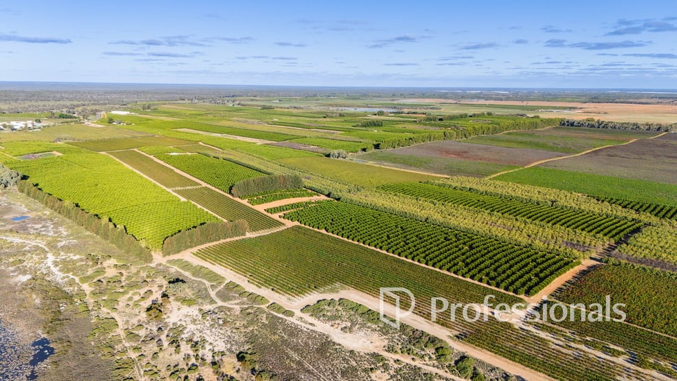 Click to view all images 2050 Kulkyne Way Iraak VIC 3494 - Image 3