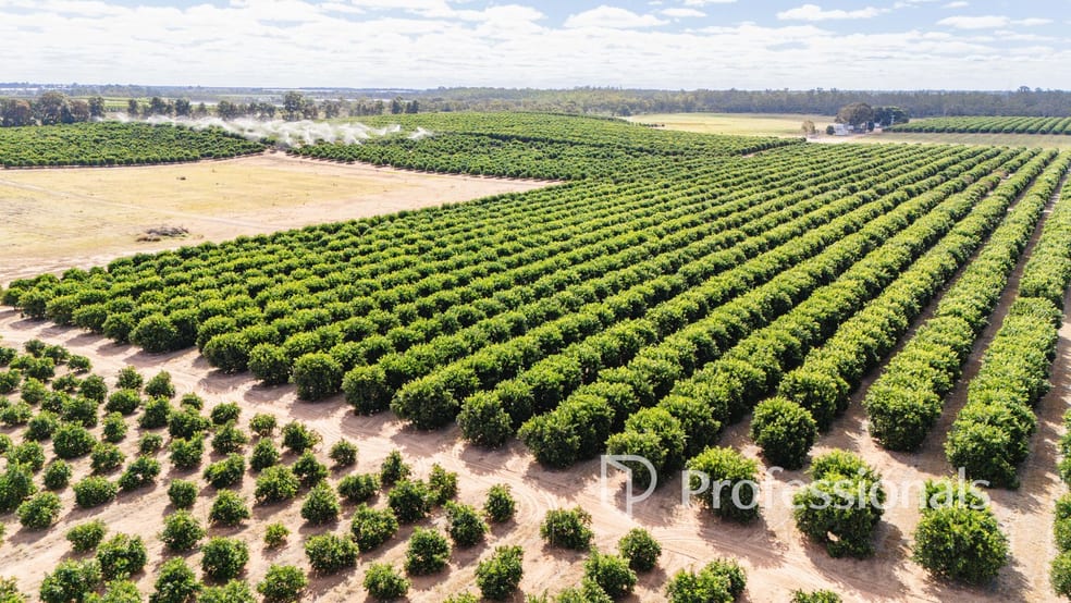 Click to view all images 3724 & 3744 Kulkyne Way Colignan VIC 3494 - Image 3