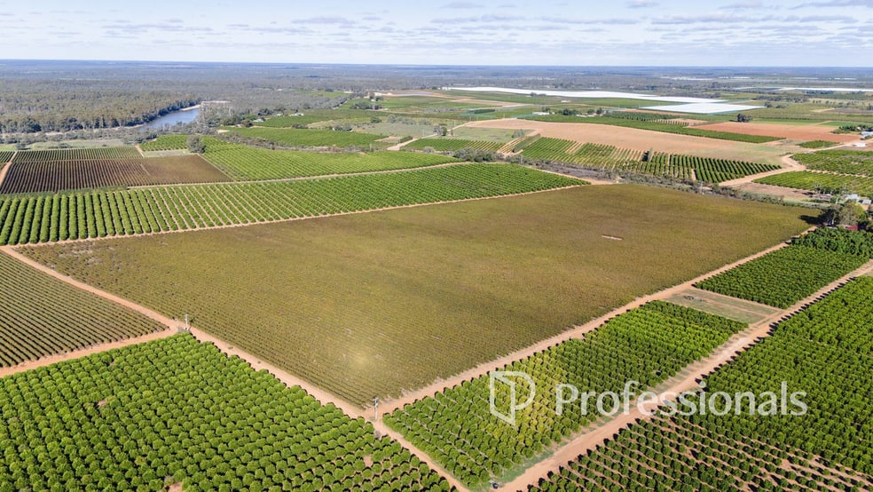 Click to view all images 2836 Kulkyne Way Nangiloc VIC 3494 - Image 3