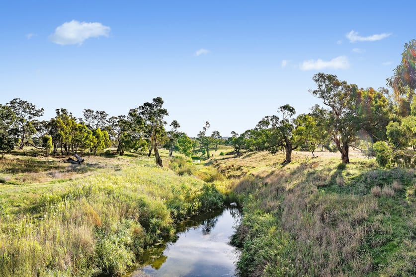 Click to view all images 384 Yellowbox Road Manildra NSW 2865 - Image 2