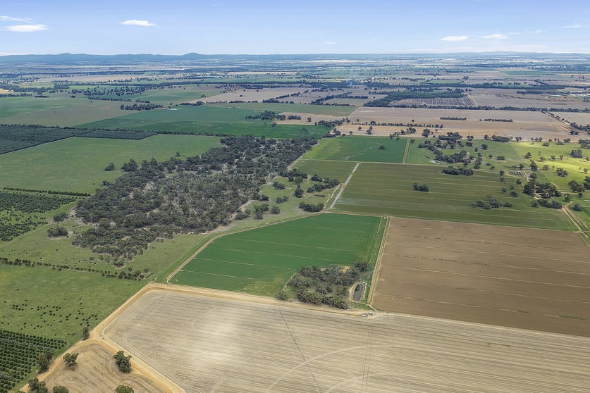 Click to view all images . Echuca Serpentine Road Serpentine VIC 3517 - Image 2