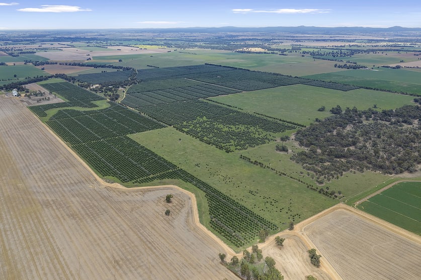 Click to view all images . Echuca Serpentine Road Serpentine VIC 3517 - Image 3