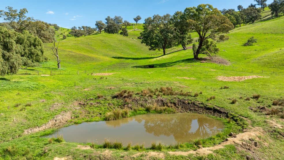 Click to view all images Sandy Creek Road Sandy Creek VIC 3695 - Image 2