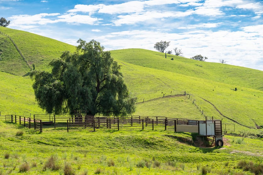 Click to view all images Sandy Creek Road Sandy Creek VIC 3695 - Image 3