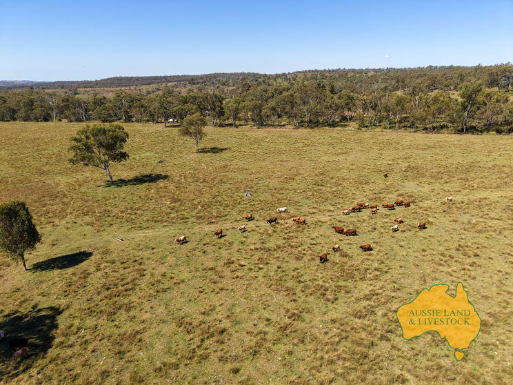 55, . TIM SHEA CREEK ROAD Wengenville QLD 4615 - Image 1