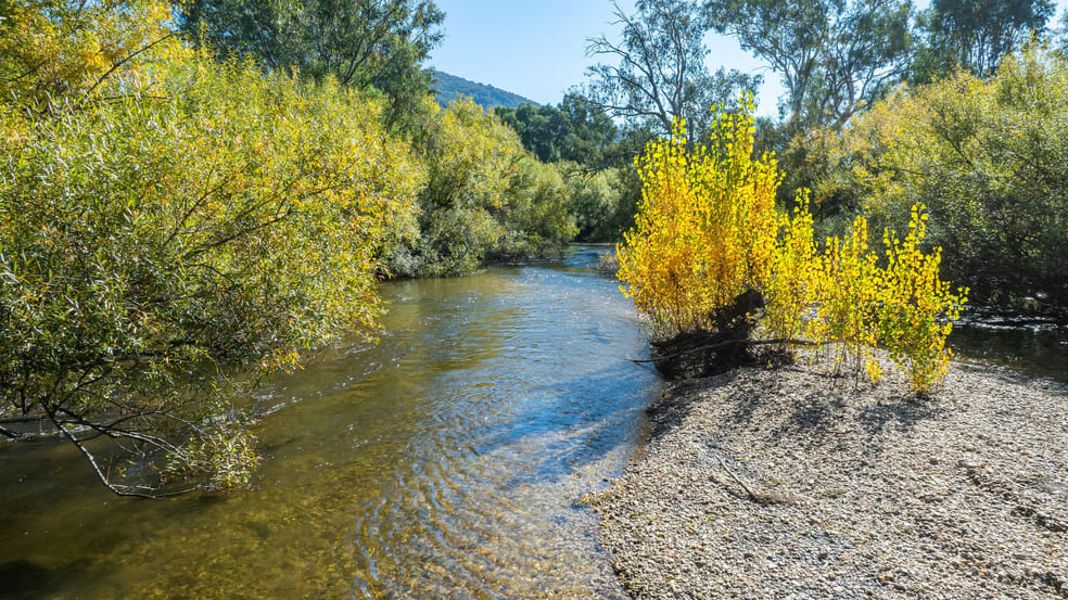 Click to view all images 2123 Kiewa Valley Highway Kergunyah VIC 3691 - Image 2