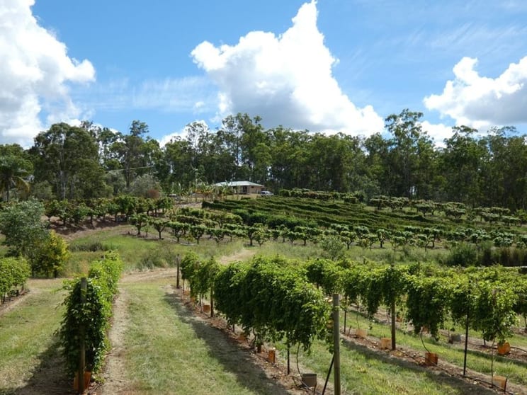 86 Simpsons Road Bullyard QLD 4671 - Image 2