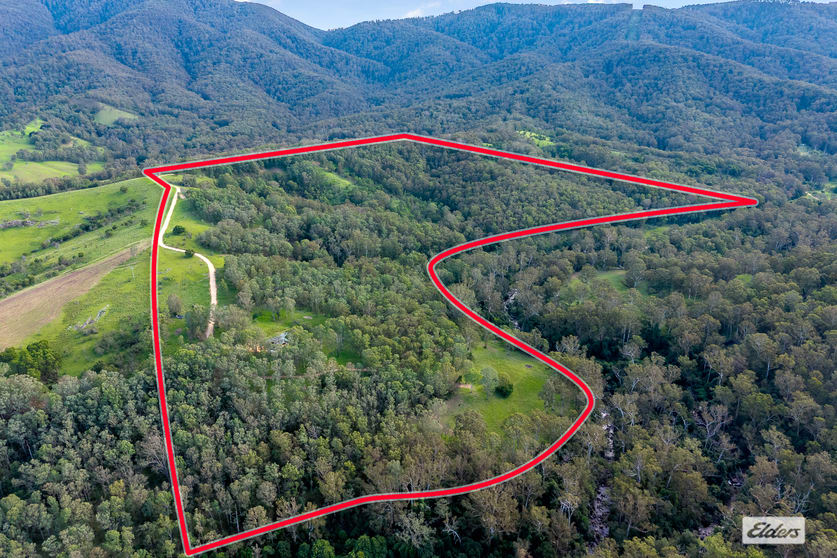 3784 Snowy Mountains Highway Bemboka NSW 2550 - Image 2