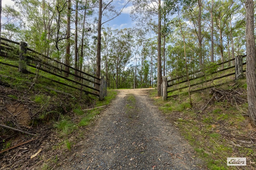 3784 Snowy Mountains Highway Bemboka NSW 2550 - Image 3