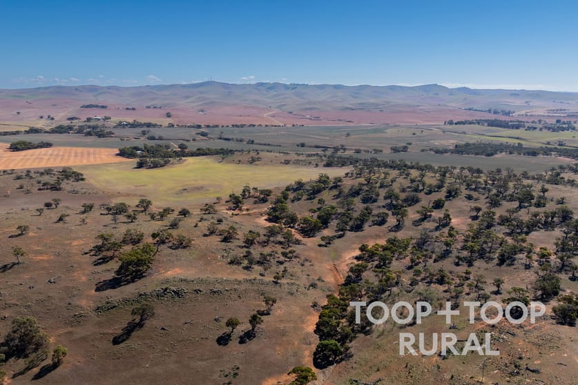 Click to view all images Oaklands Road Dutton SA 5356 - Image 2