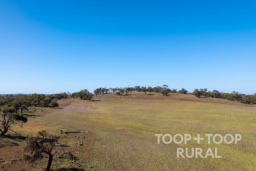 Click to view all images Oaklands Road Dutton SA 5356 - Image 3
