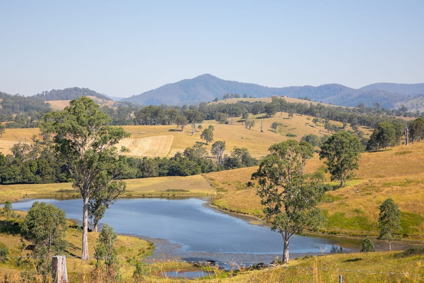 Click to view all images 879 Thunderbolts Way Gloucester NSW 2422 - Image 2