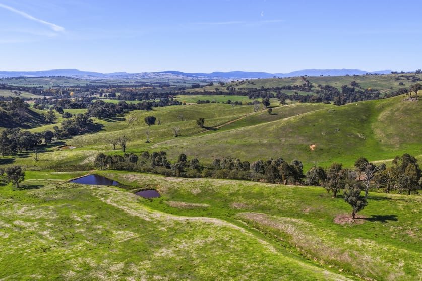 Woods Road Piries VIC 3723 - Image 2
