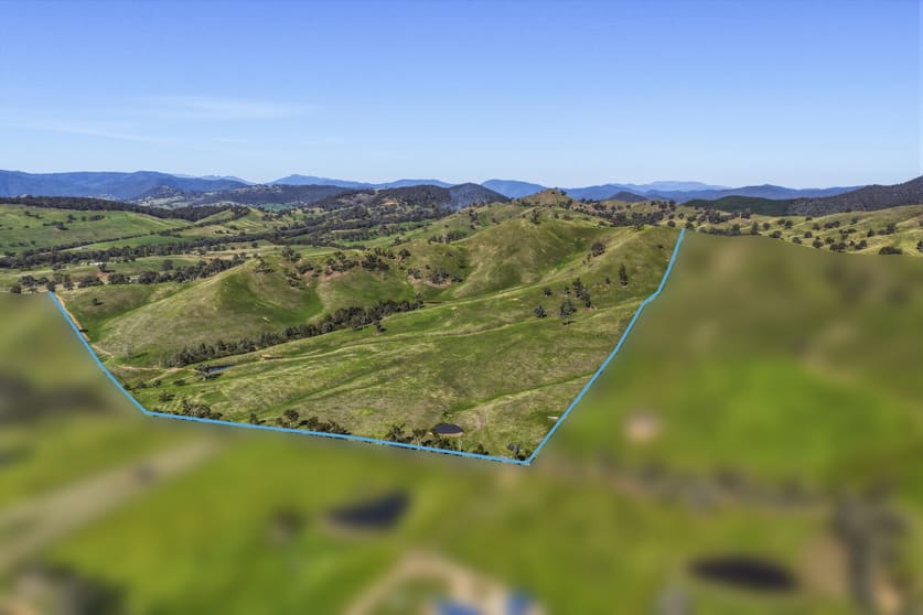 Woods Road Piries VIC 3723 - Image 1