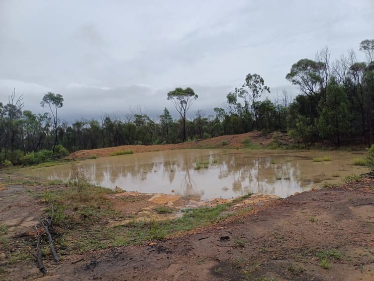 Tara QLD 4421 - Image 2