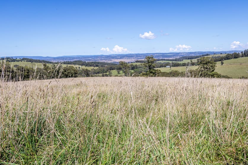 245 Chinnocks Road Walcha NSW 2354 - Image 1