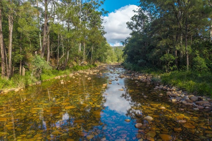 Click to view all images 40 Ready Money Road Upper Rollands Plains NSW 2441 - Image 2