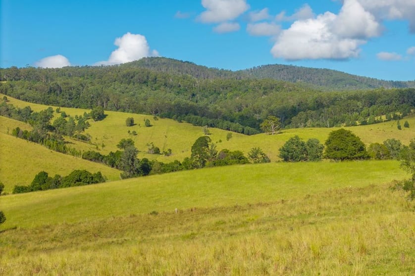 Click to view all images 40 Ready Money Road Upper Rollands Plains NSW 2441 - Image 1