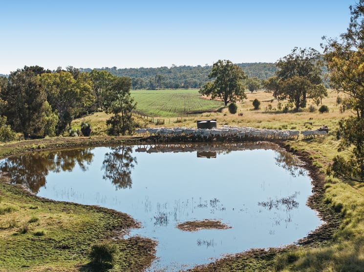 414 Red Tank Road Boyneside QLD 4610 - Image 3