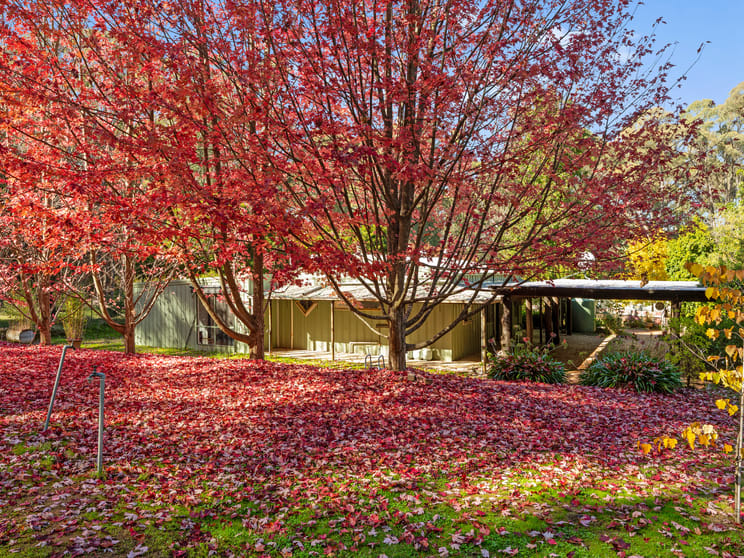 Click to view all images 684 Tames Road Strathbogie VIC 3666 - Image 1