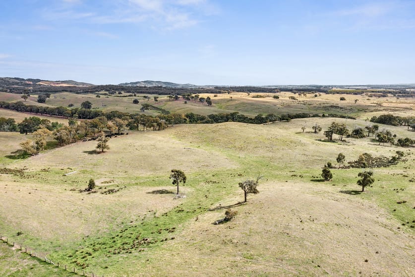 Click to view all images 1335 Dairy Flat Road Tooborac VIC 3522 - Image 2