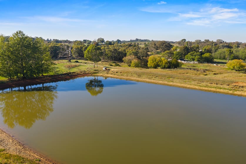Click to view all images 126 Woodlands Road Young NSW 2594 - Image 3