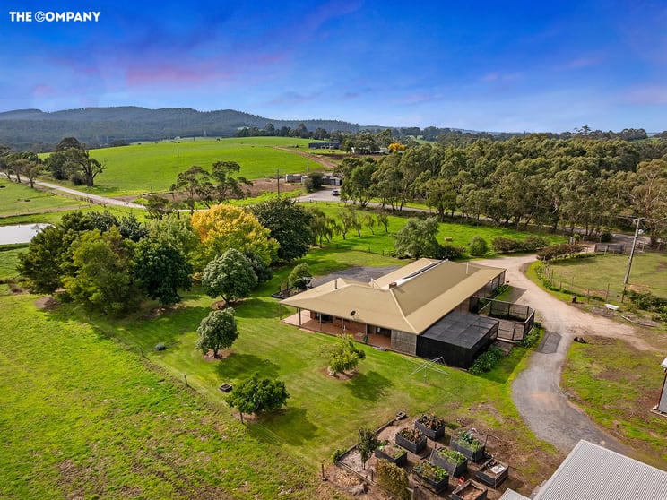 Click to view all images 155 Forest Road Labertouche VIC 3816 - Image 1