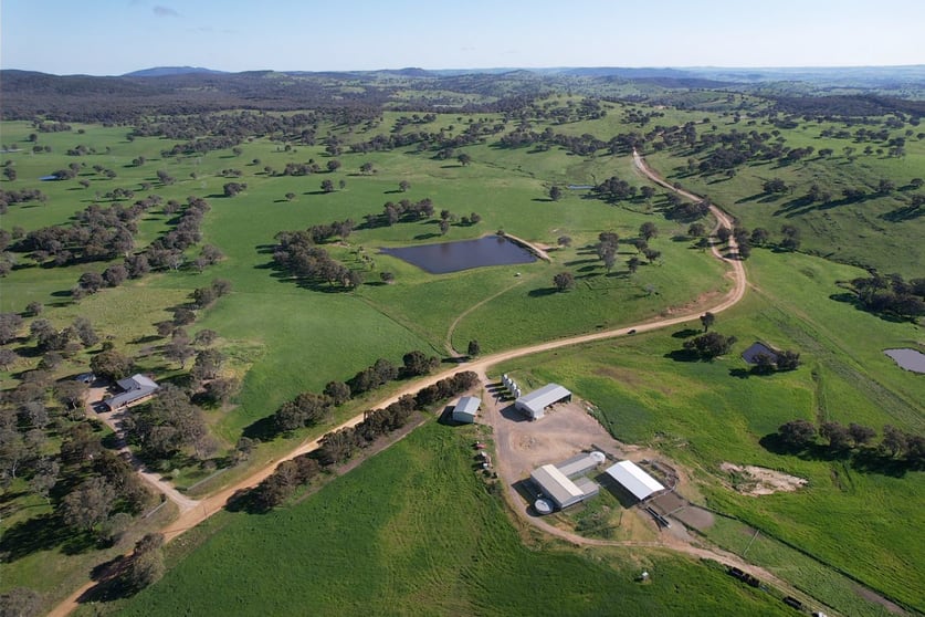 1744 Brawlin Road Cootamundra NSW 2590 - Image 1