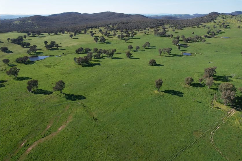 1744 Brawlin Road Cootamundra NSW 2590 - Image 2