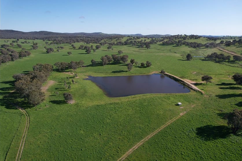 1744 Brawlin Road Cootamundra NSW 2590 - Image 3