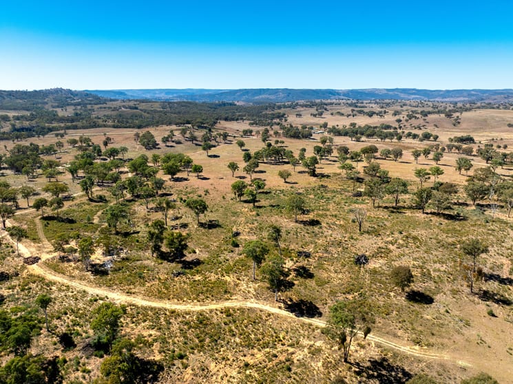 231 Boshes Creek Road, Mullion Creek via Orange NSW 2800 - Image 2