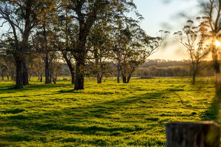 50 Blencowes Lane Wildes Meadow NSW 2577 - Image 3