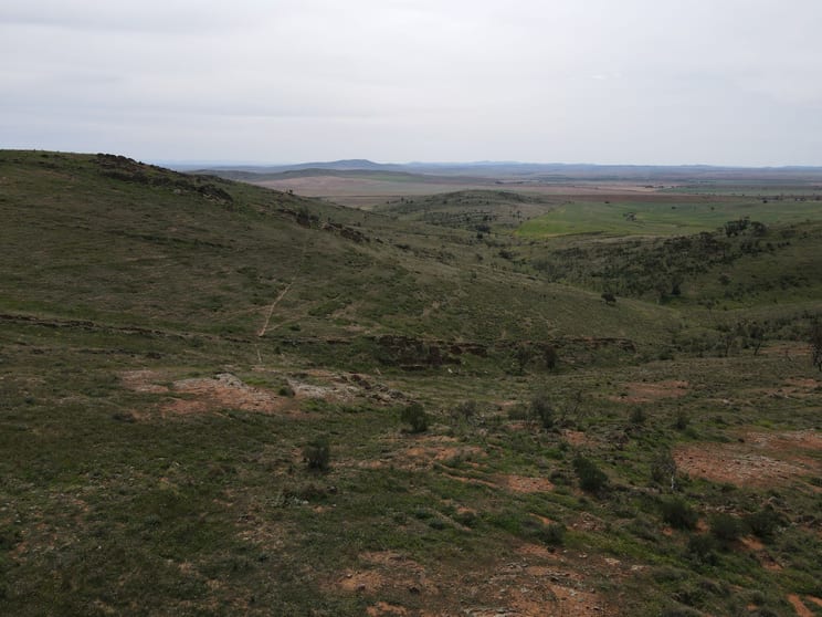 Click to view all images Lot 98 Crocker Hill Road Pekina SA 5431 - Image 3
