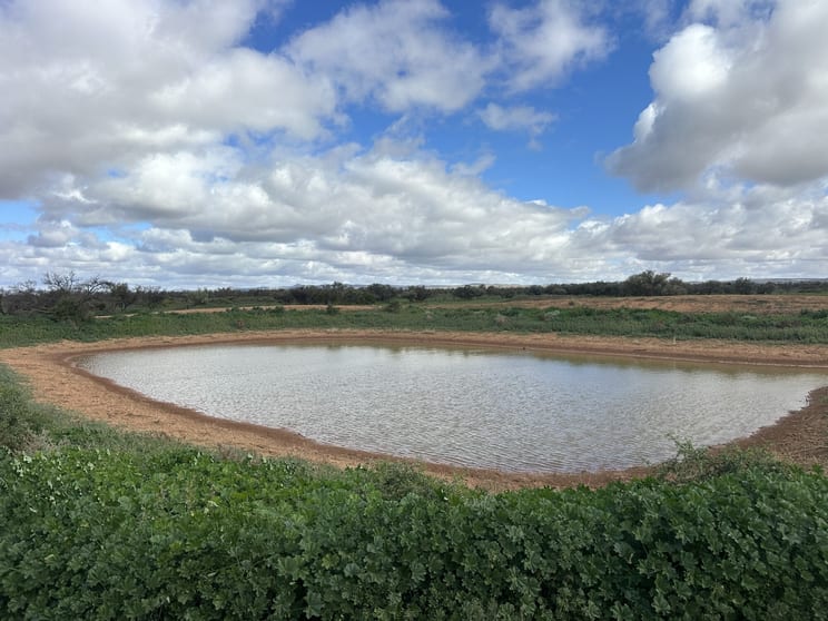 Click to view all images Lot 118C Johnburgh Road Orroroo SA 5431 - Image 2