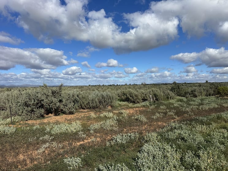 Click to view all images Lot 118C Johnburgh Road Orroroo SA 5431 - Image 3