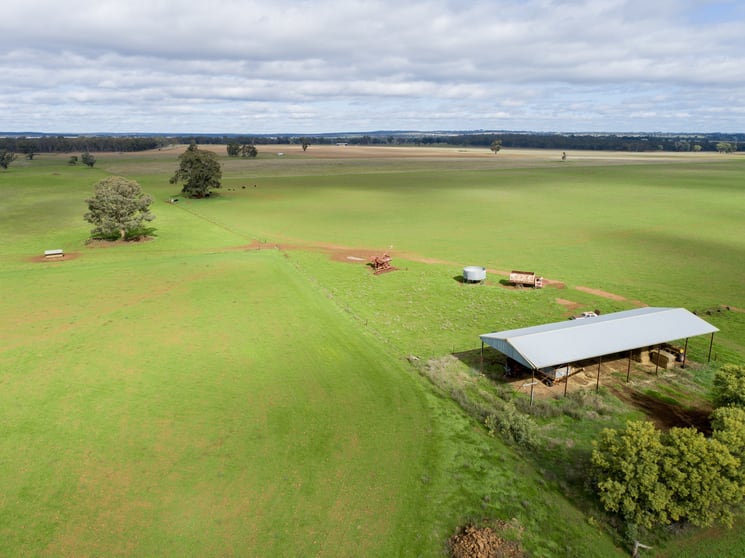 Caruba, 176 Uphills Lane Purlewaugh NSW 2357 - Image 3