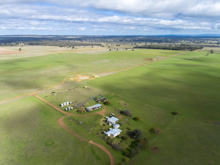 Caruba, 176 Uphills Lane Purlewaugh NSW 2357 - Image 2