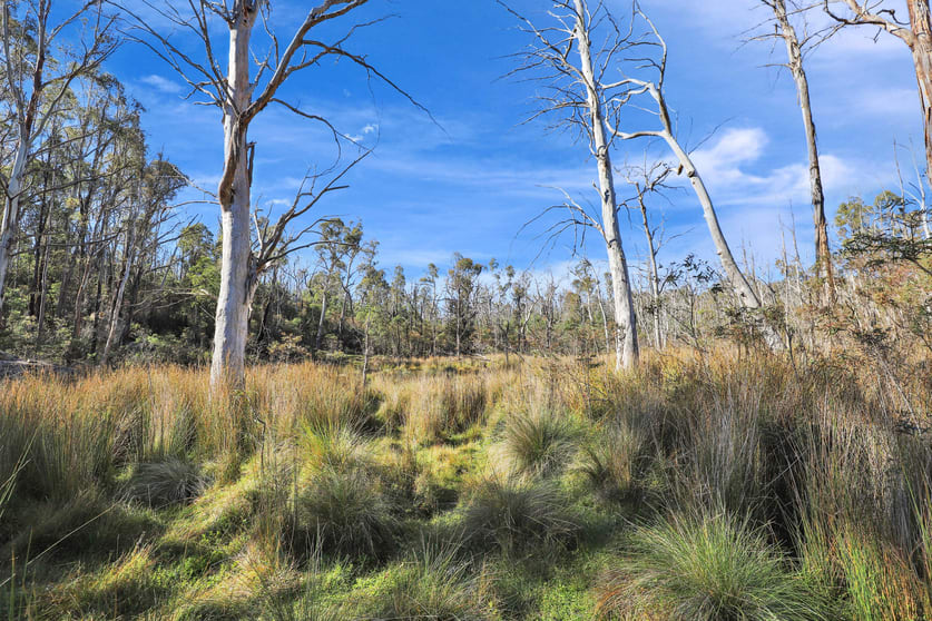 Click to view all images 1060 Creewah Road Creewah NSW 2631 - Image 1