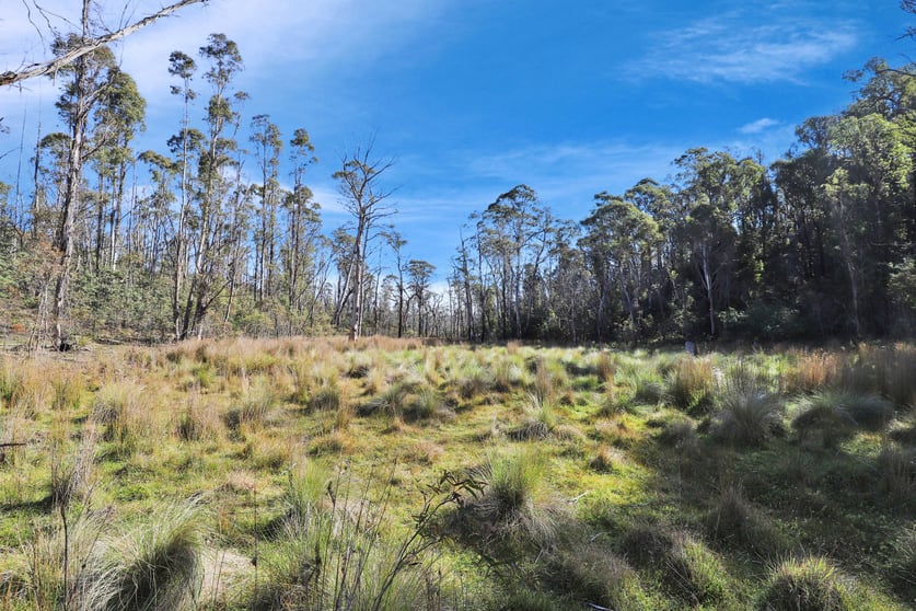 Click to view all images 1060 Creewah Road Creewah NSW 2631 - Image 3