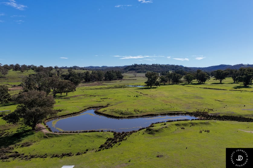 229 Gowang Road Coonabarabran NSW 2357 - Image 2