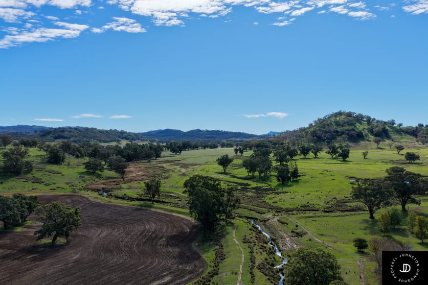 229 Gowang Road Coonabarabran NSW 2357 - Image 3